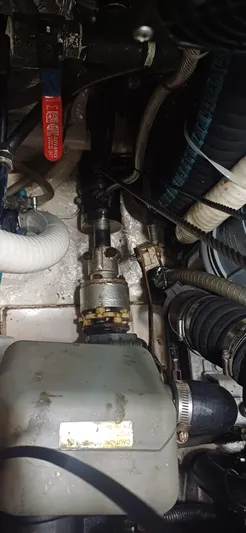 Alice In Wonderland Yacht Photos Pics 