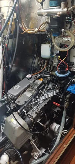 Alice In Wonderland Yacht Photos Pics 