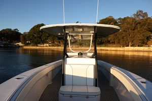 Bahama 31