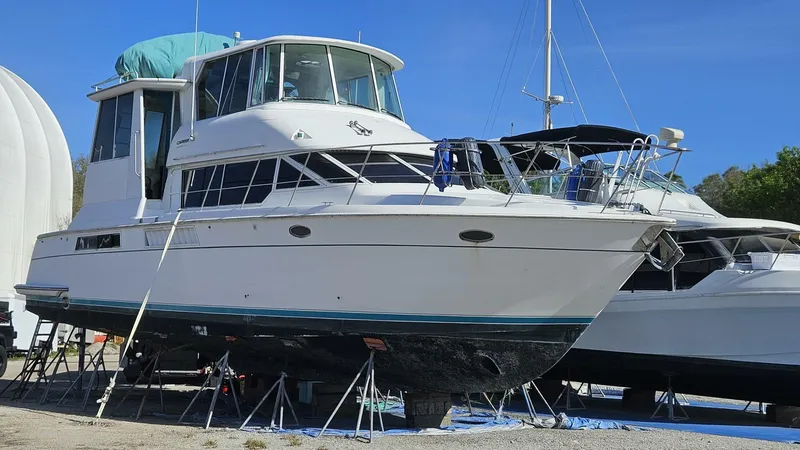 Elusive Yacht Photos Pics 