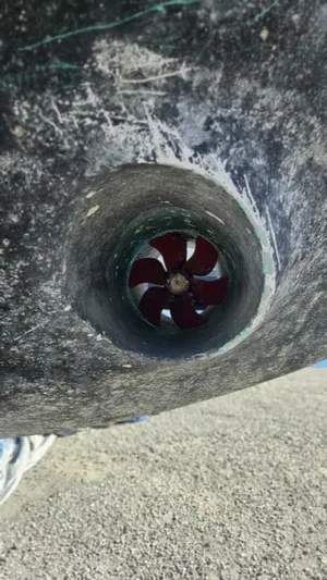 Elusive Yacht Photos Pics 