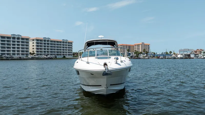  Yacht Photos Pics 2016 Sea Ray 310 Sundancer boat on water with buildings in background.
