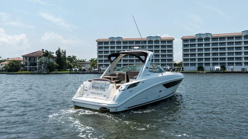  Yacht Photos Pics 2016 Sea Ray 310 Sundancer boat cruising near waterfront buildings.