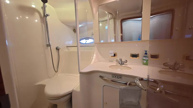 Livin' The Dream Yacht Photos Pics Bathroom interior of 2001 Sea Ray 450 Express Bridge yacht, featuring shower and sink.