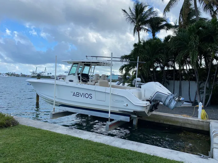 Abvios Yacht Photos Pics 2020 Boston Whaler 330 Outrage boat docked near palm trees by the water.