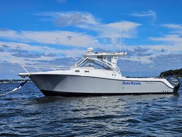Edgewater 335 Express