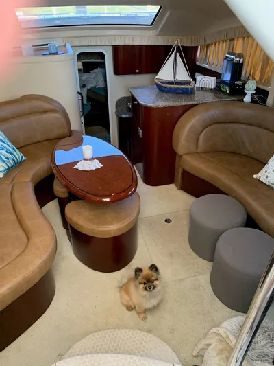 Why Knot Yacht Photos Pics 