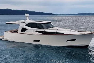 Monachus Issa 45