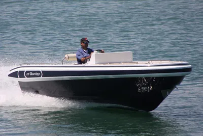 Novurania Chase 19