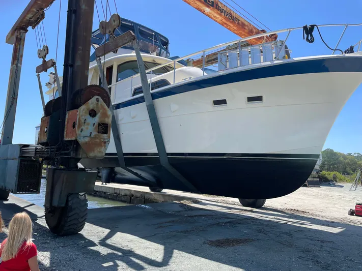 3 Little Birds Yacht Photos Pics 