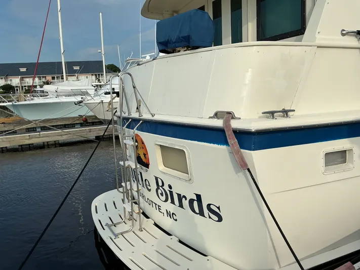 3 Little Birds Yacht Photos Pics 