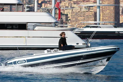 Novurania Chase 23