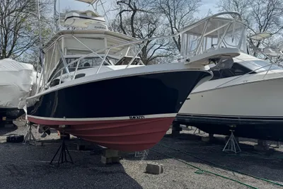 Blackfin 29 Combi
