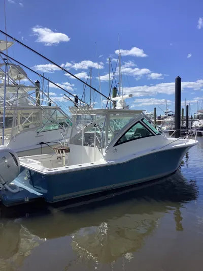 Why Knot Yacht Photos Pics 