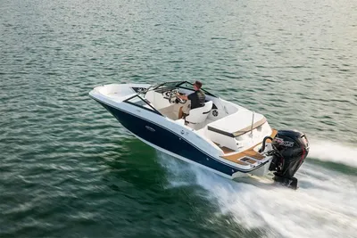 Sea Ray SPX 190 Outboard