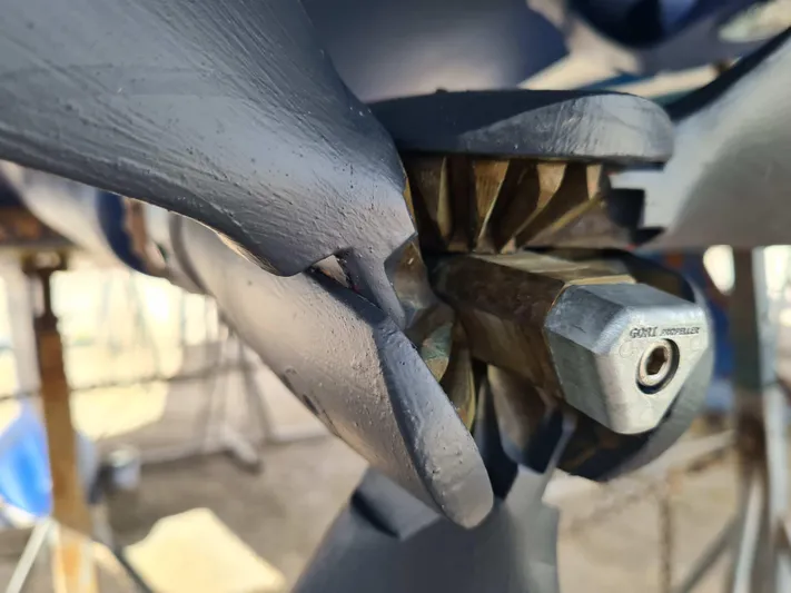 Surfing Safari Yacht Photos Pics 