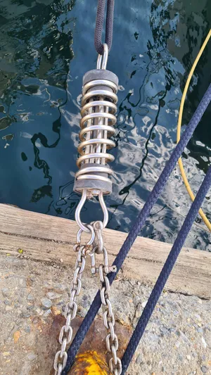 Surfing Safari Yacht Photos Pics 