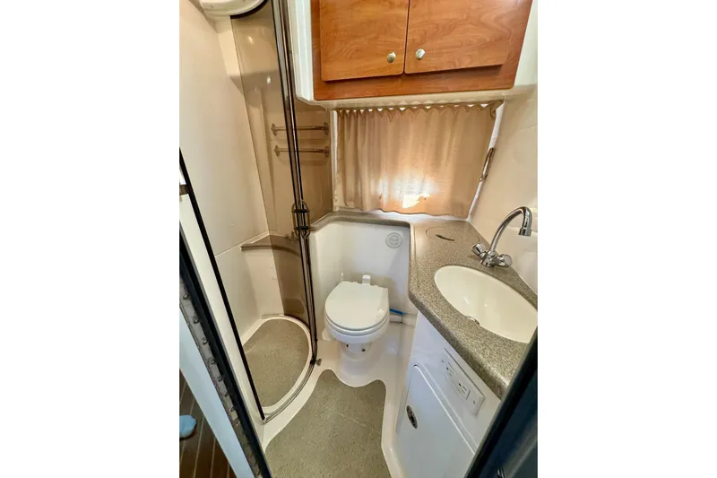 Escape Yacht Photos Pics 2009 Rinker 360 Express Cruiser bathroom with shower, sink, and toilet.