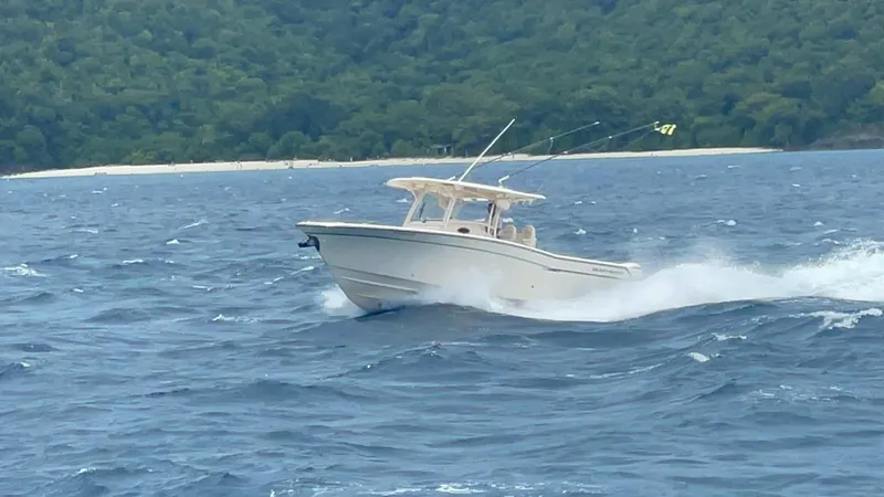  Yacht Photos Pics 
