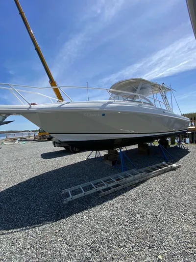 Tasman Yacht Photos Pics 