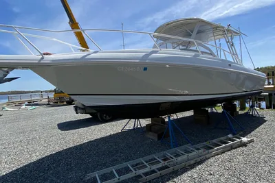 Intrepid 339 WA