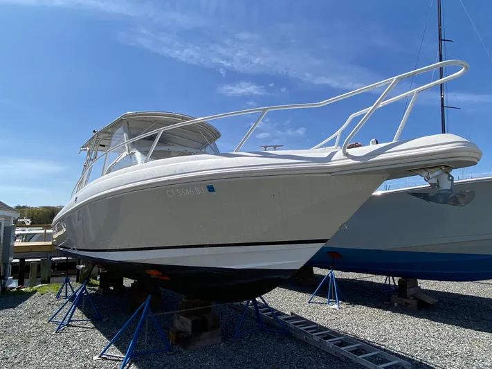 Tasman Yacht Photos Pics 