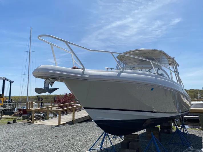 Tasman Yacht Photos Pics 