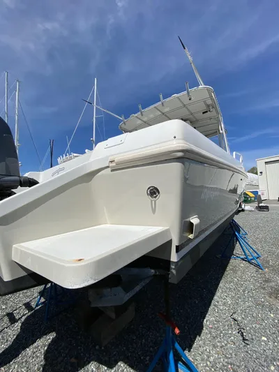 Tasman Yacht Photos Pics 