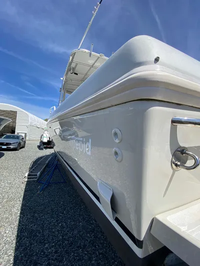 Tasman Yacht Photos Pics 