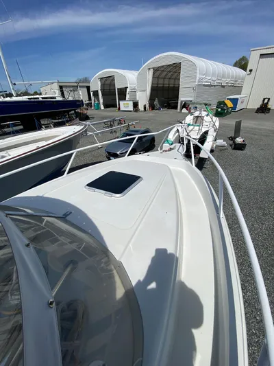 Tasman Yacht Photos Pics 