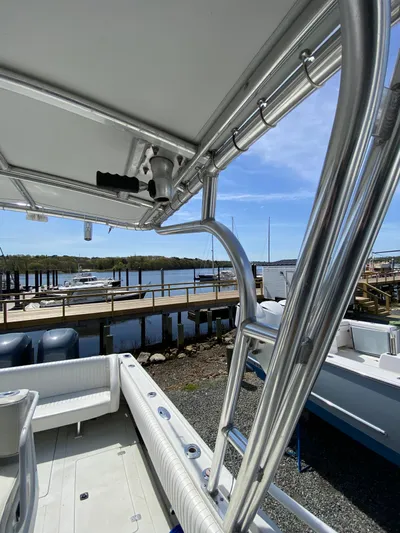 Tasman Yacht Photos Pics 