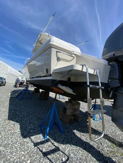 Tasman Yacht Photos Pics 