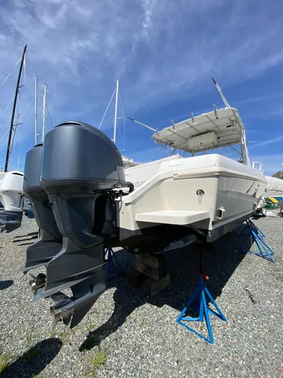 Tasman Yacht Photos Pics 