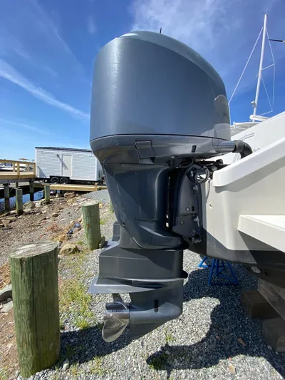 Tasman Yacht Photos Pics 