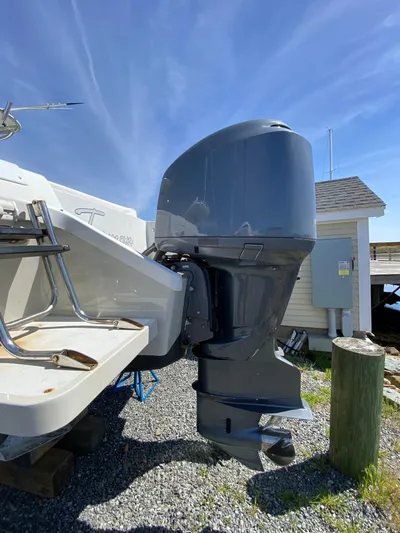 Tasman Yacht Photos Pics 