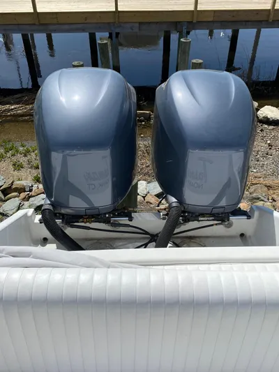 Tasman Yacht Photos Pics 