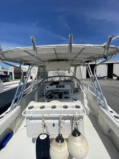 Tasman Yacht Photos Pics 