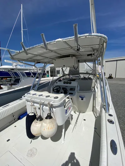 Tasman Yacht Photos Pics 