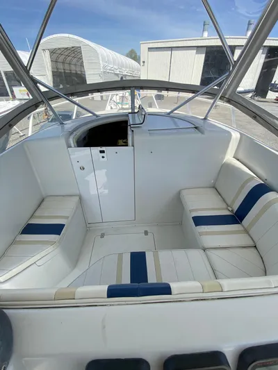 Tasman Yacht Photos Pics 