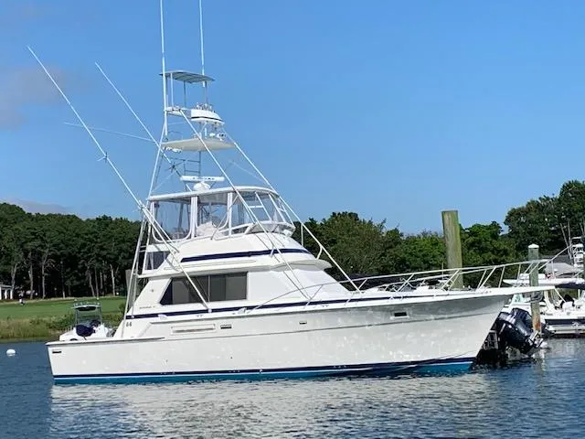 Worth The Wait Yacht Photos Pics 