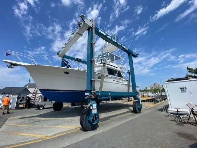 Worth The Wait Yacht Photos Pics 