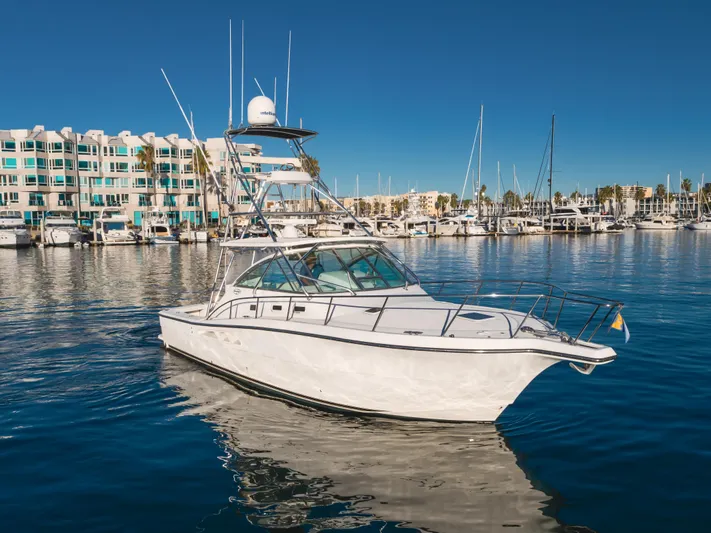 Pez Finder Yacht Photos Pics 2006 Rampage 38 Express yacht in marina, clear blue sky, waterfront buildings.