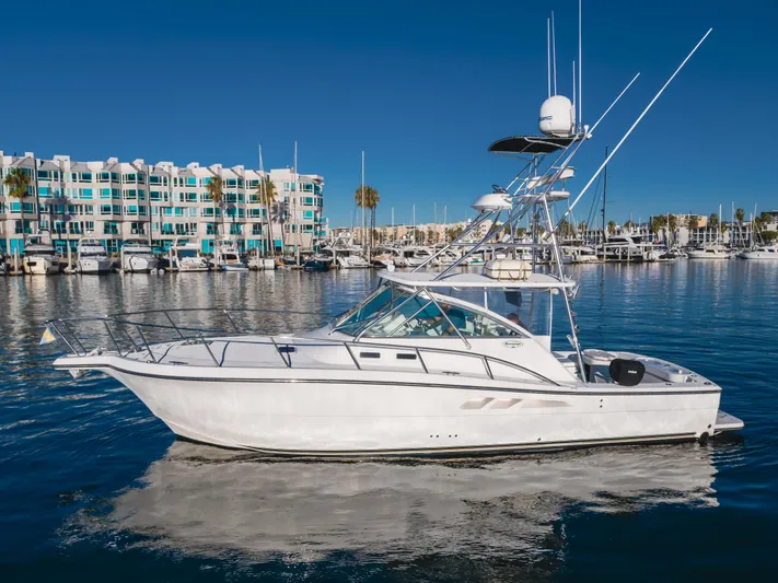 Pez Finder Yacht Photos Pics 2006 Rampage 38 Express yacht docked in a marina with clear blue skies.