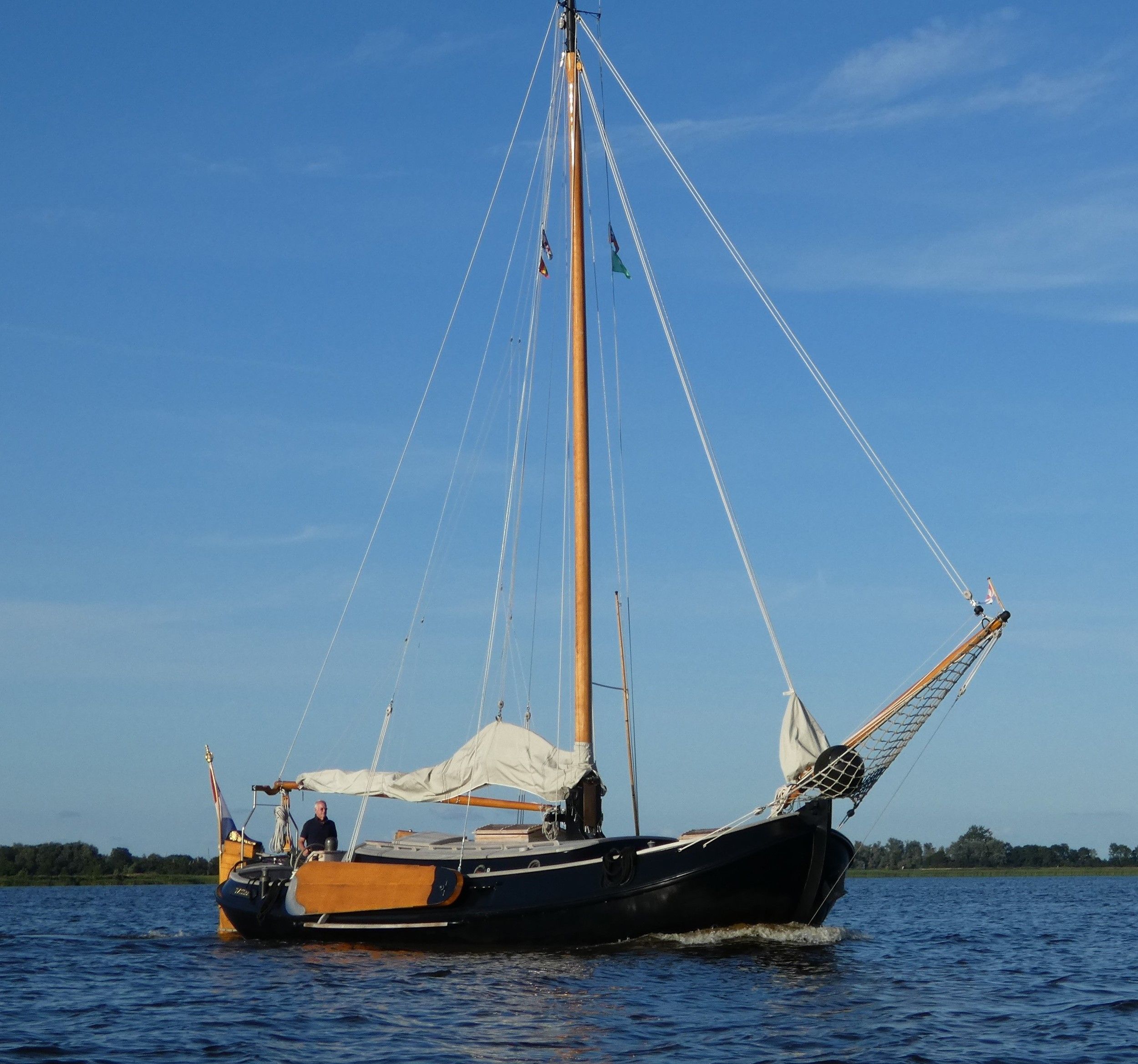 1993 Lemsteraak Tasser - Blomaak