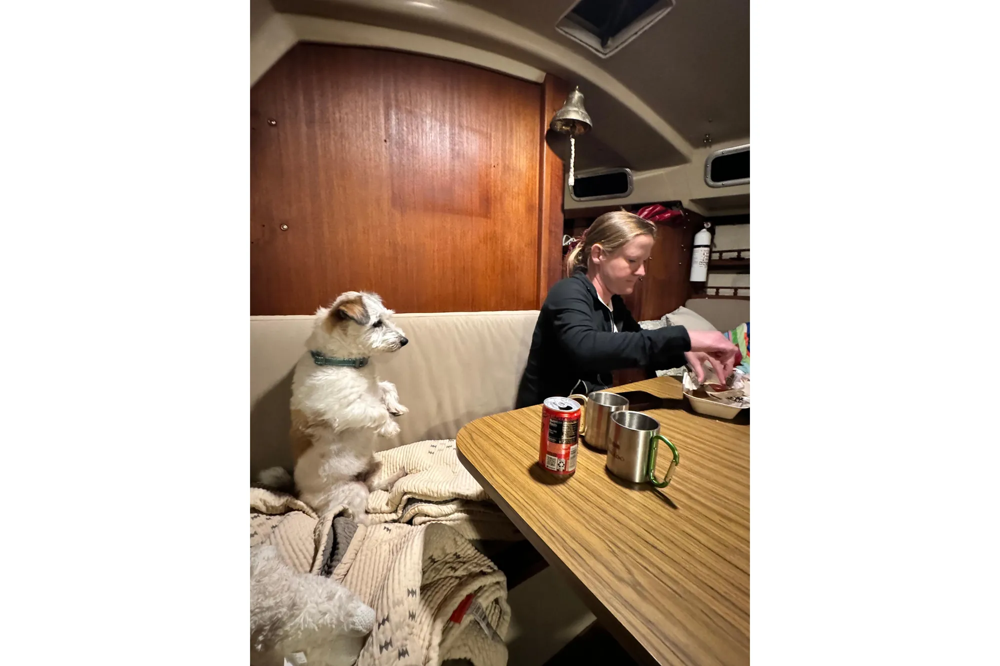 Woman and dog inside 1980 Catalina 30 sailboat, dining area with table and drinks.