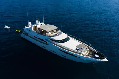 Nedship Custom