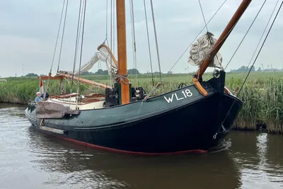 1916 Lemsteraak WL 18 Fasant - Roefuitvoering Jachtuitvoering
