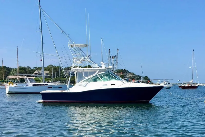 Niala Yacht Photos Pics 2004 Cabo 35 Express Sportfish in harbor, surrounded by sailboats.