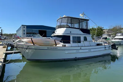 Monk 42