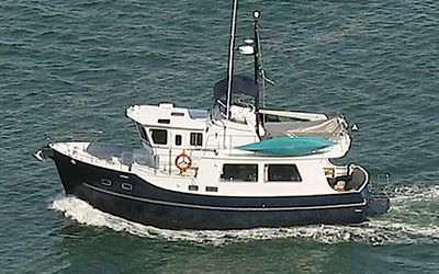 Seahorse CN44
